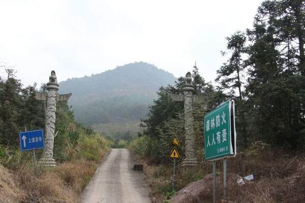 公司坐落于狮峰山风景区入口